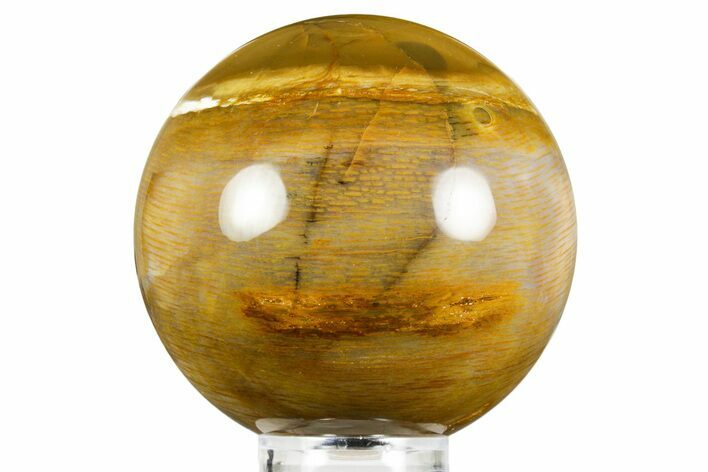 Badger Pocket Petrified Wood (Sycamore) Sphere - Washington #371211